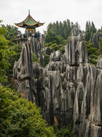 中国には木ではなく岩が立ち並ぶ森がある。 | Trip.com 石林
