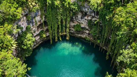 Cenote Ik Kil, Mexico, The Jungle Has a Secret Swimming Pool  — traveler post in 坎佩切州