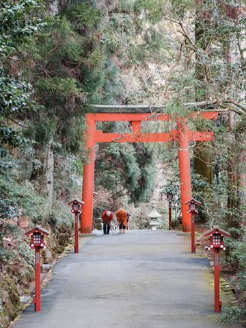 箱根で過ごす一日：富士山、温泉、そして日本の風景 🗻♨️🇯🇵 | Trip