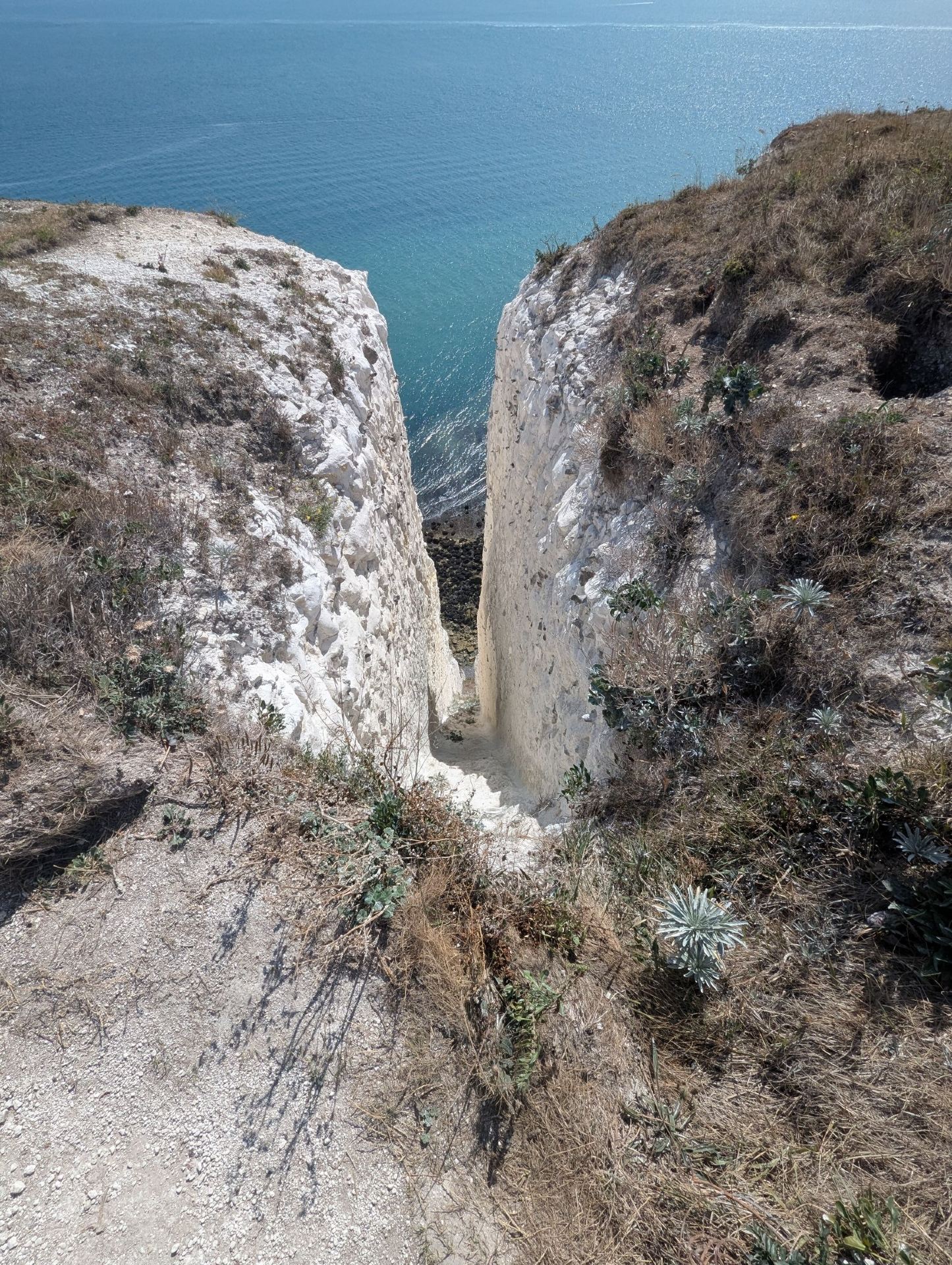 Free Day Out: The White Cliff of Dover