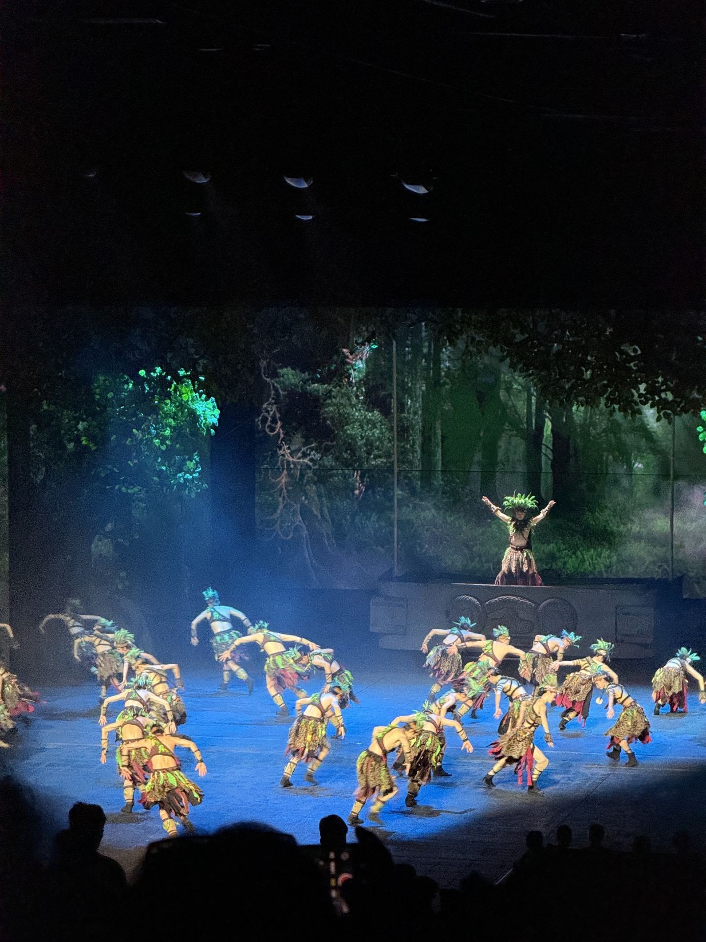 Fun Memories at Hangzhou Songcheng Park: An Experience Worth Trying!
