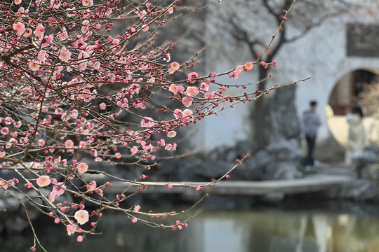 中国・蘇州】艺圃は四季折々の花が楽しめる世界遺産の庭園 | Trip.com 蘇州