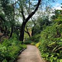 🏯🦢 Kowloon Park: A Hidden Oasis in the City 🌳🐒