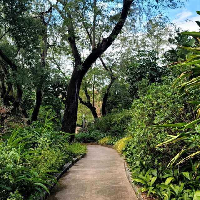 🏯🦢 Kowloon Park: A Hidden Oasis in the City 🌳🐒
