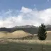 OliverChamberlain57