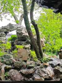 The Crown of Beauty in Southeast China