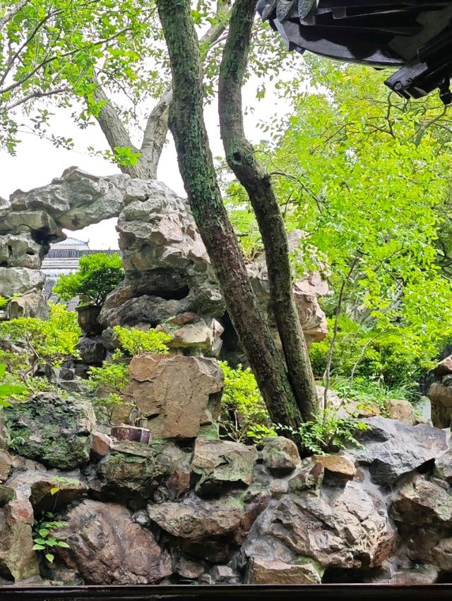 The Crown of Beauty in Southeast China
