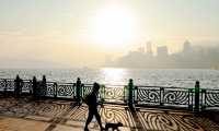 A gust of fresh breeze, a ray of sunshine, an ordinary morning.