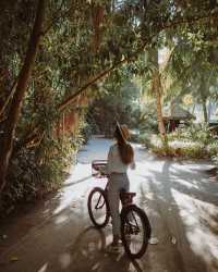 Biking to the Beach: A Daily Choice in Paradise 🚲🏝️
