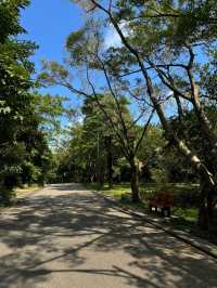 綠意盎然的寶安城市公園，親近大自然休閒好去處