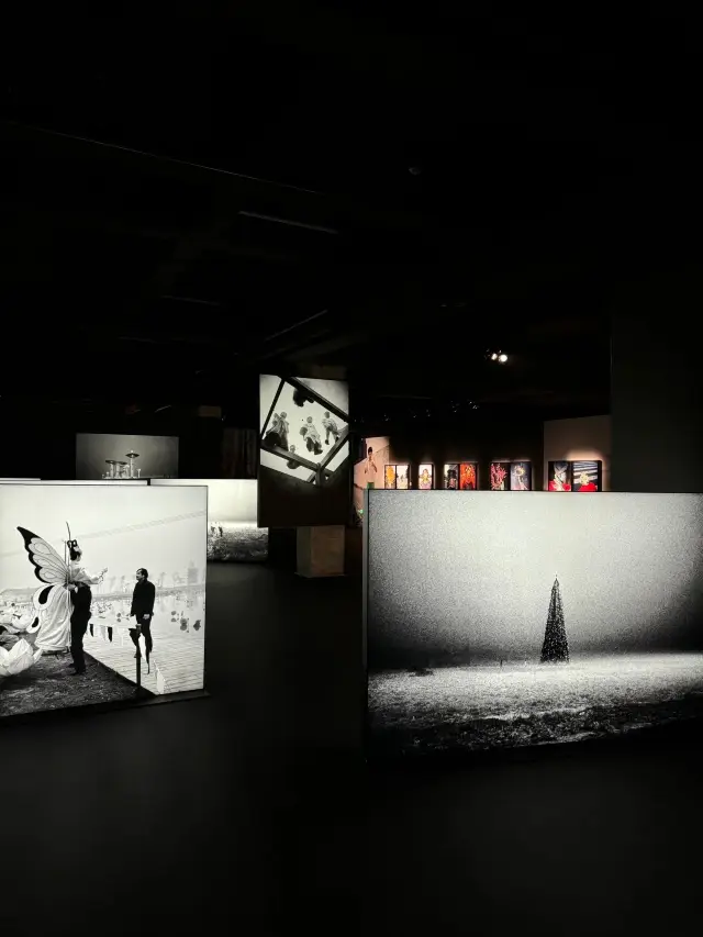 上海CITYWALK｜馮立:白夜幻境