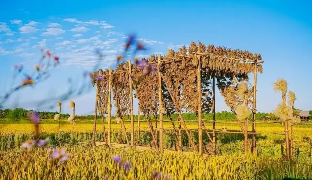 Dongtan Wetland Park