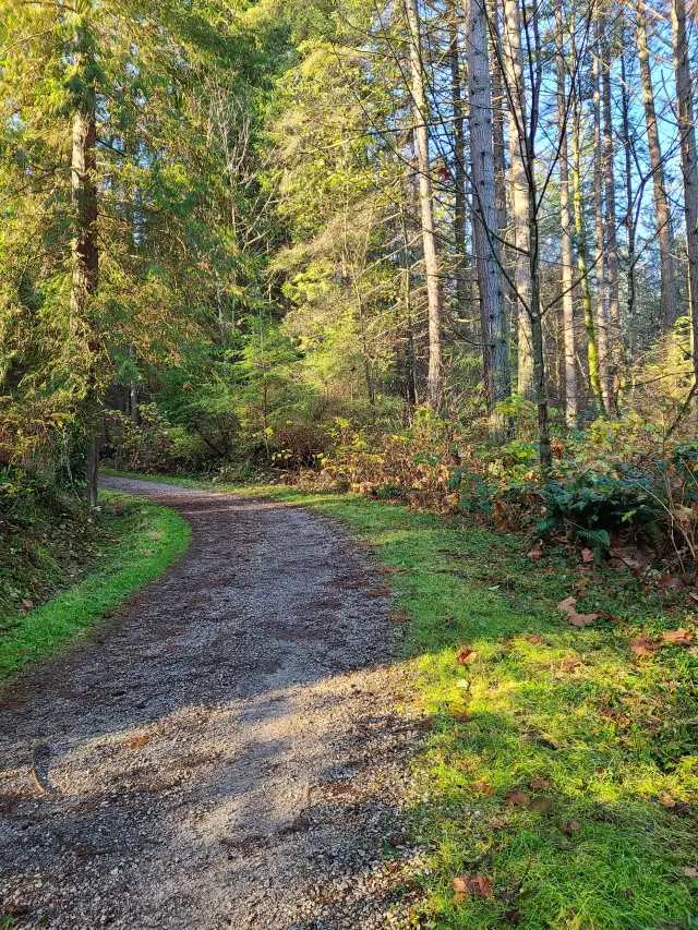 The fog disperses and the sun comes out, just in time for a walk