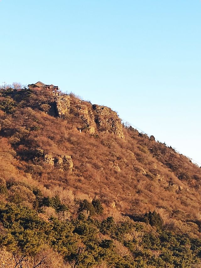 峰主巡山之晨曦灑滿大地——