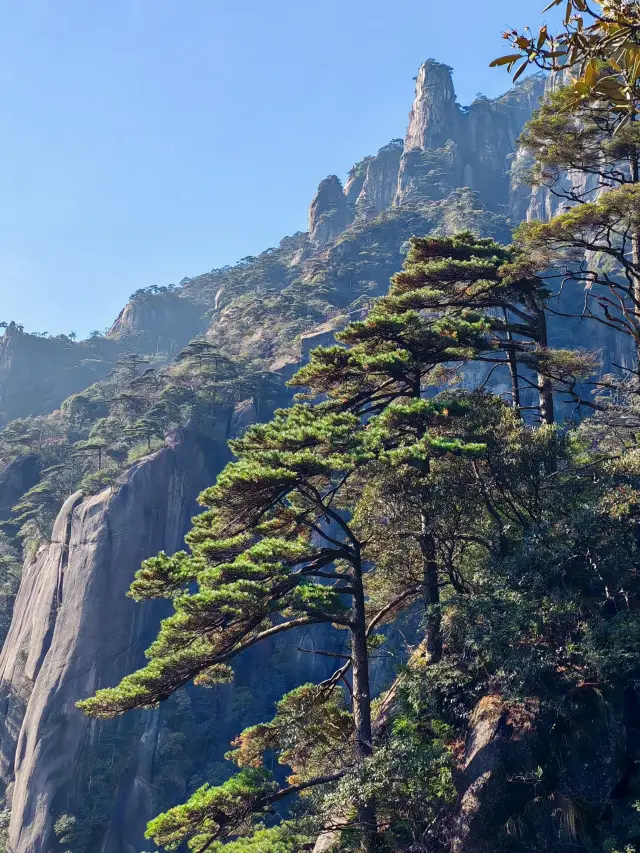 三清山は、14億年前の花崗岩に囲まれた美しい石の森です
