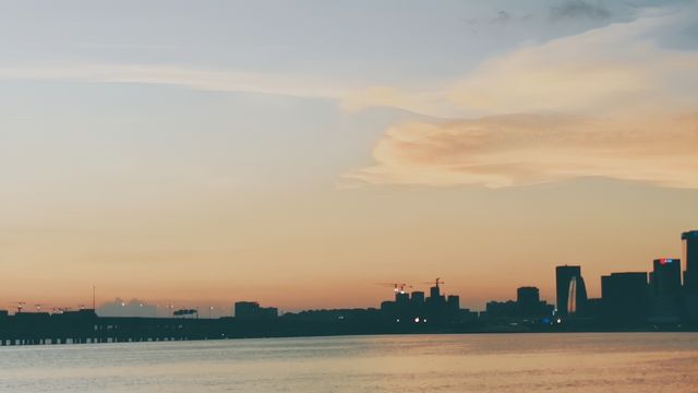 深圳灣紅樹林，大海的懷抱
