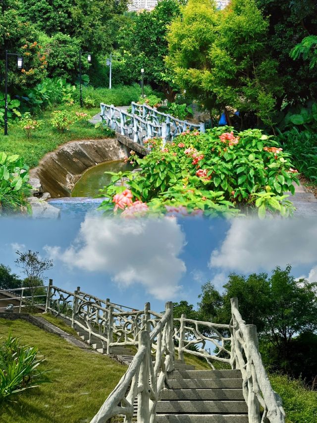 "深圳企龍山足球公園：仙境般的登山探索之旅"