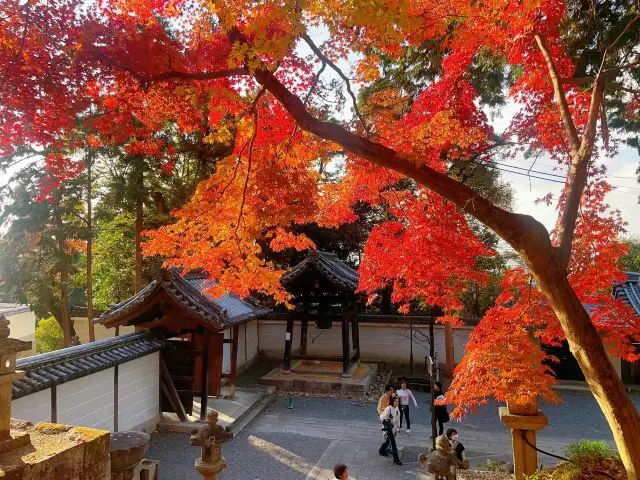 Maruyama Park in Kyoto, a Japanese-style garden