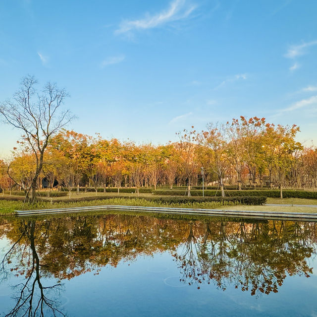2023 Best Autumn trip in Shanghai