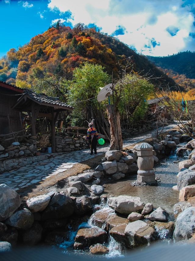 不想去光霧山的，來這個小眾免費的彩林盛景