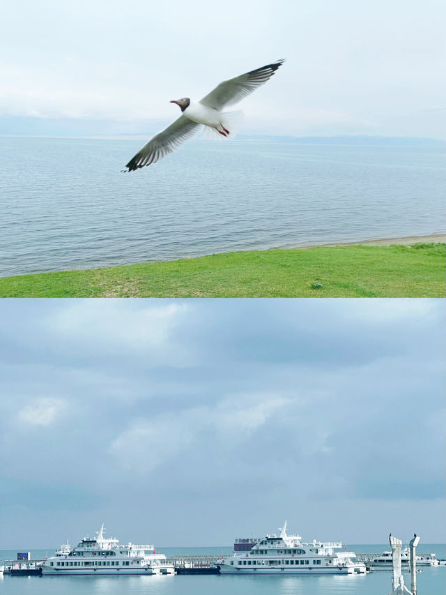 青海湖 | 四季不同的美景