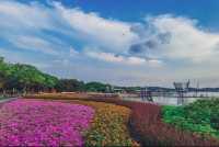上海辰山植物園之旅：感受大自然的魅力與科普的樂趣