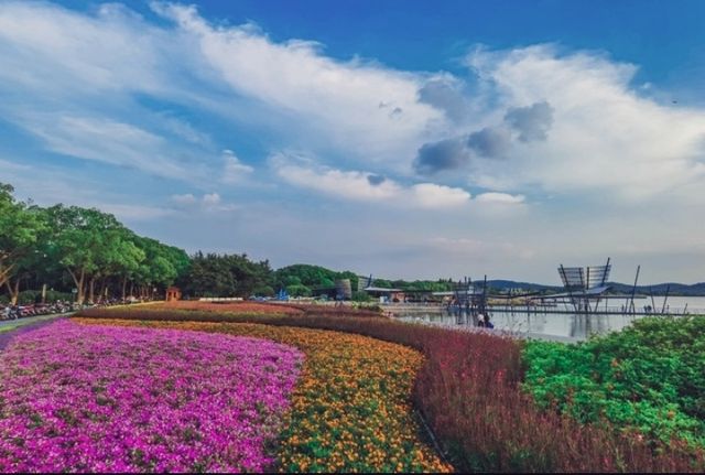 上海辰山植物園之旅：感受大自然的魅力與科普的樂趣