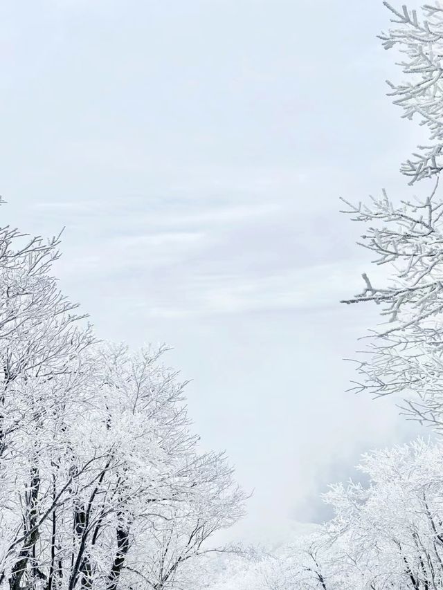 龍王山的霧凇，頂級浪漫美極啦