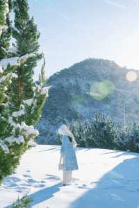 不用去塞納河畔雪後大連的星海廣場好美！