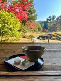 京都|花一點錢享受無人的秋日庭園