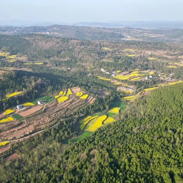 先秦古道一-平均樹齢1225年の古蜀道！！！