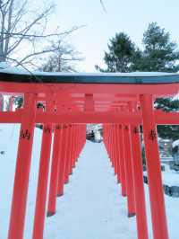  日本小樽必去景點住吉神社白雪配紅色鳥居一定不能錯過