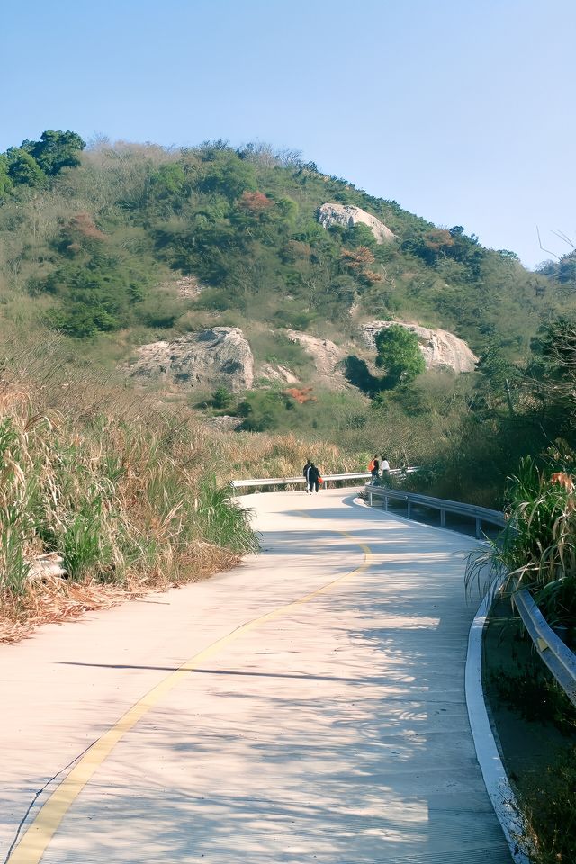 姊妹們太漂亮了冬日海岸線徒步水桶岙小環線｜浙版“麥理浩