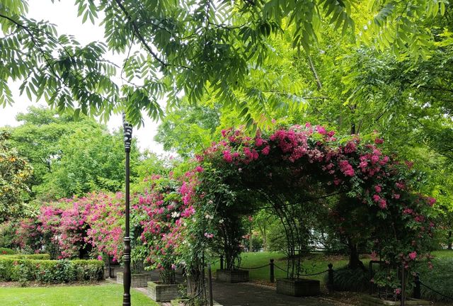 思賢公園|魔都法式公園