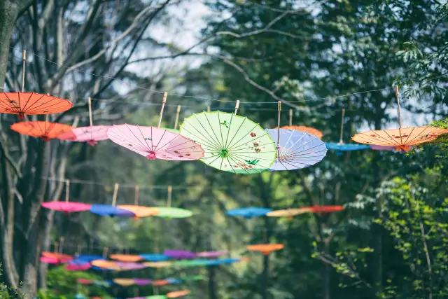 Chengdu Botanical Garden is a kind of garden