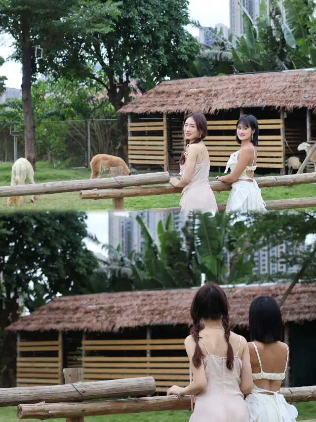 Foshan Surrounding Tour | Moricho Farm | Camping Experience