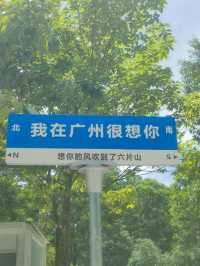 後悔晚知道！羊城“藍眼淚”不止石牙頂天坑，還有……