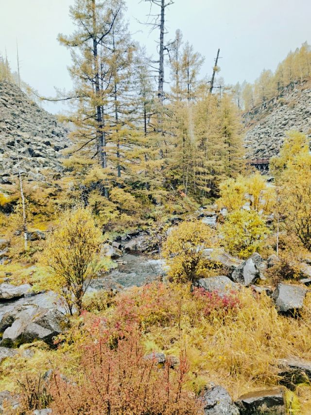 內蒙古｜初秋阿爾山駝峰嶺天池