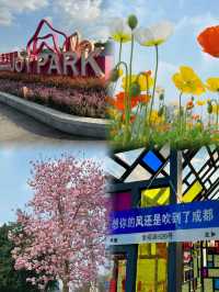 成都 天府芙蓉園 ｜去有風的地方，成都的後花園