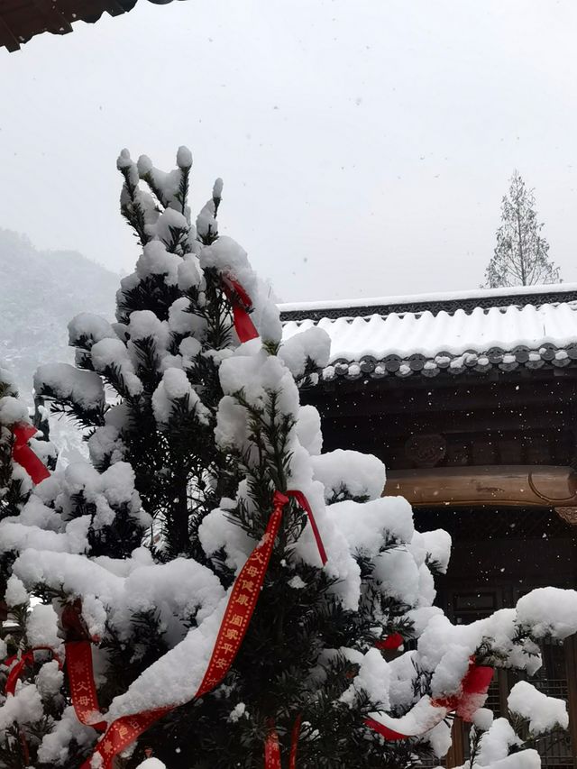 上饒三清山 | 雪中的靈濟廟