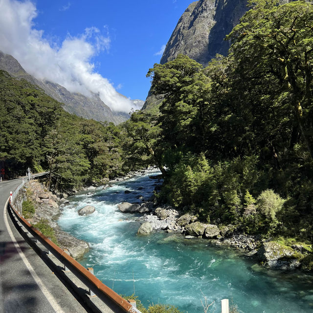 A Taste of the Enchanting Fiordland!