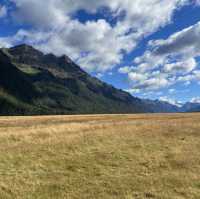 A Taste of the Enchanting Fiordland!