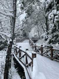 小鎮大雪