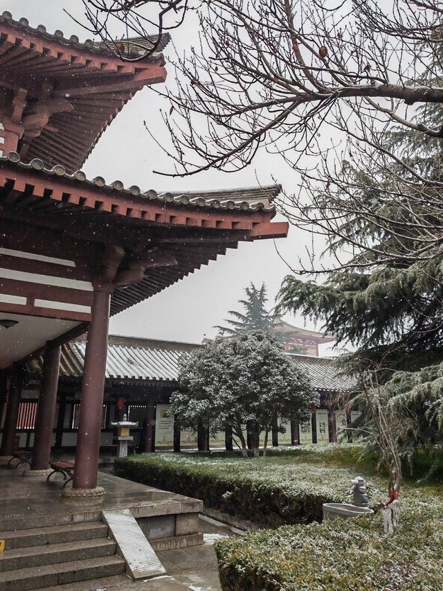 雨雪中遊法門寺