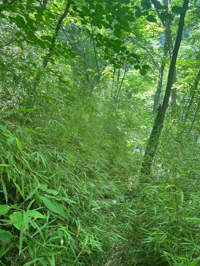 戶外旅行 | 鐵牌溝縱情山水，避暑的最佳去處
