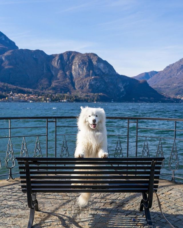 Snapshots from Lake Como 💦😍 Get ready to be swept away by the breathtaking beauty of Lake Como, Italy! 🇮🇹✨