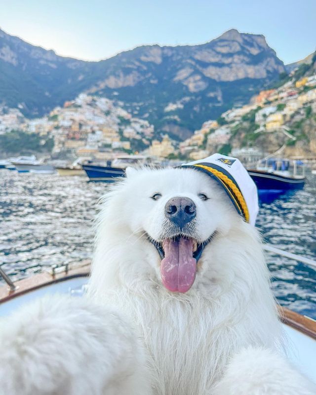 🚤🌅 Captain Felix Takes Control! Epic Boat Tour along the Amalfi Coast 🌊😍