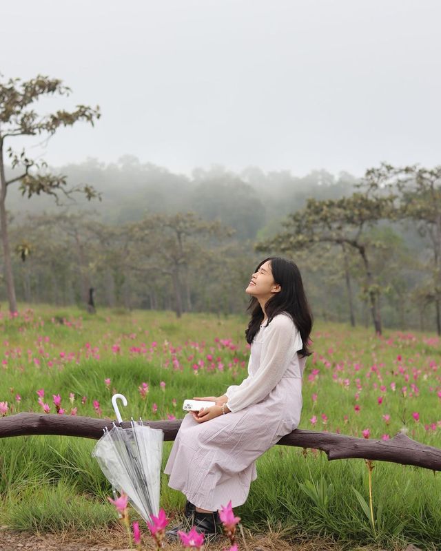 In my dream//เหมือนหลุดไปอยู่ในความฝัน🌷💖✨🫶🏻🌸