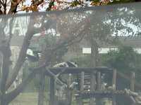 在武漢·武漢動物園新手入園攻