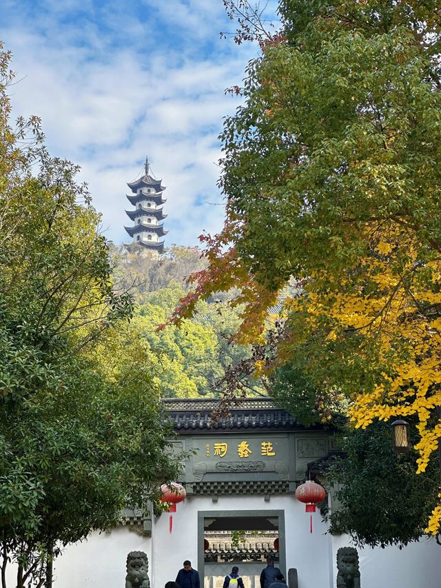 上海後花園太多了，諸暨是一個